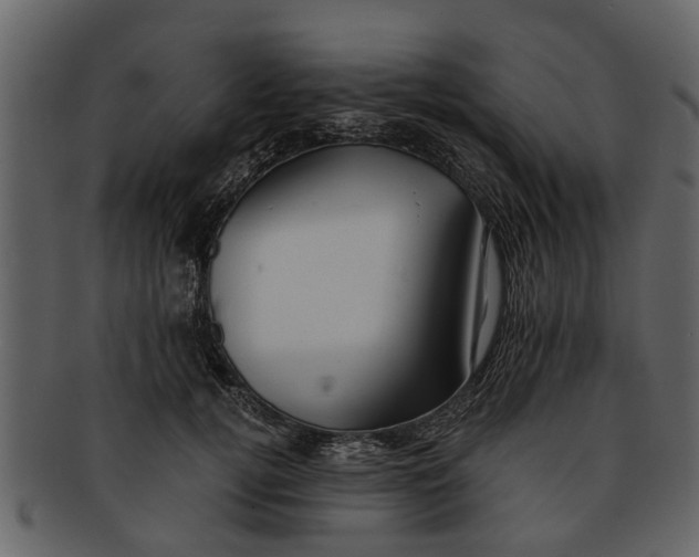 X0000093100752200710171200