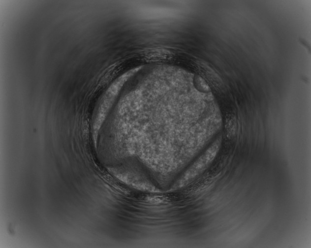 X0000093100753200710171200