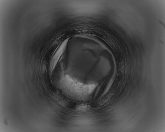 X0000093100754200710171200