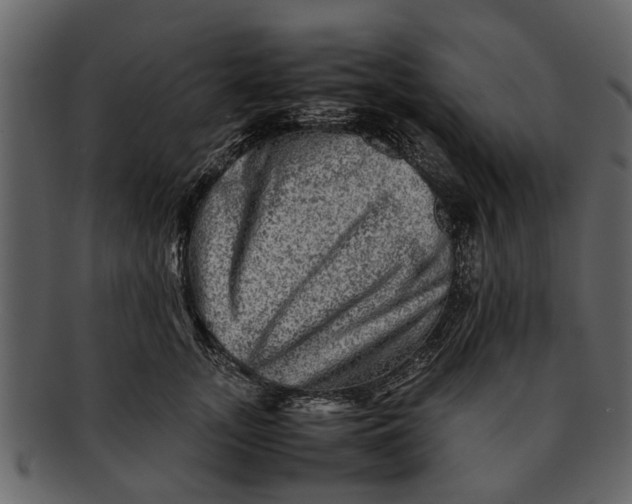 X0000093100755200710171200