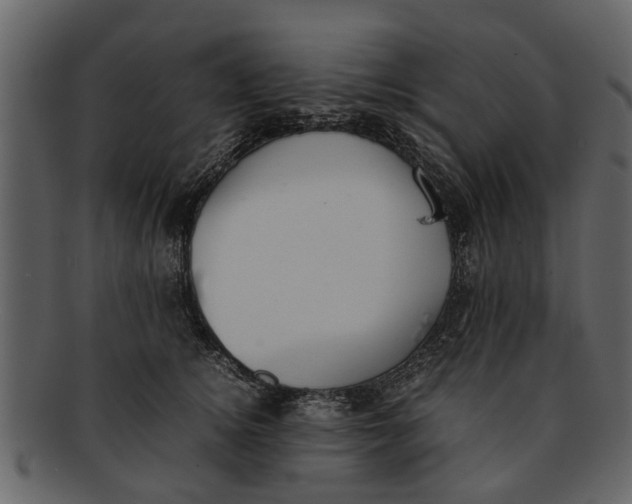 X0000093100756200710171200