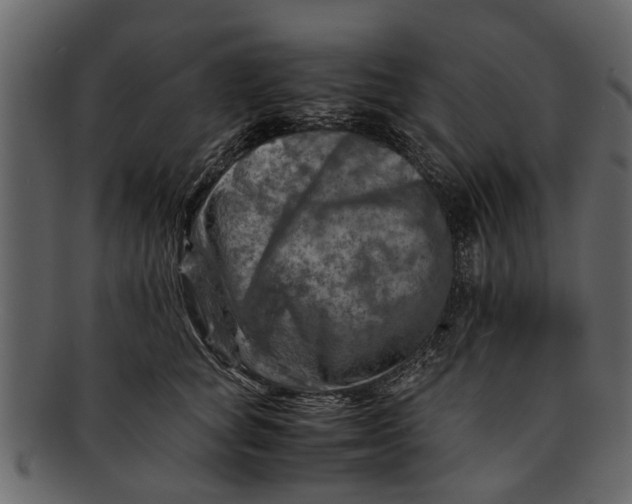 X0000093100757200710171200