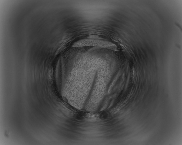X0000093100760200710171200