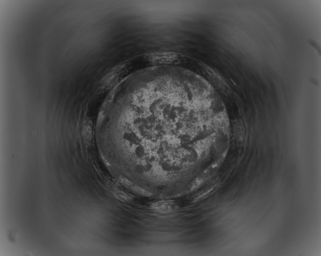 X0000093100761200710171200
