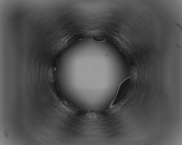X0000093100764200710171200
