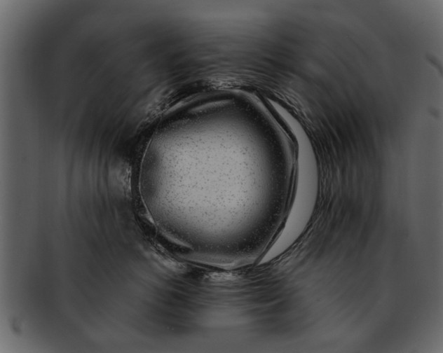 X0000093100766200710171200