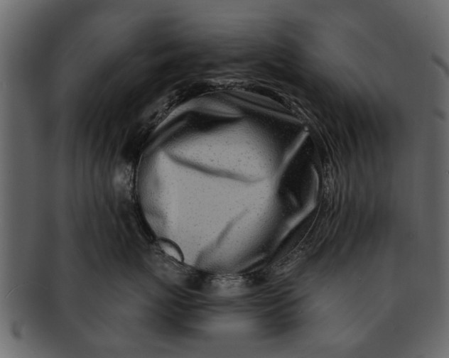 X0000093100767200710171201