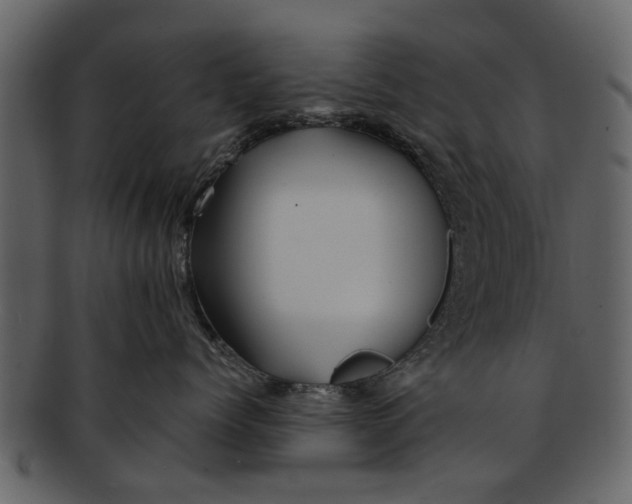 X0000093100768200710171201