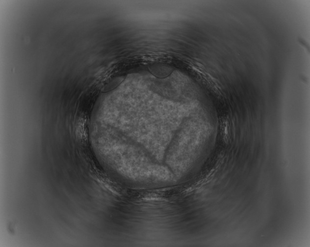 X0000093100770200710171200