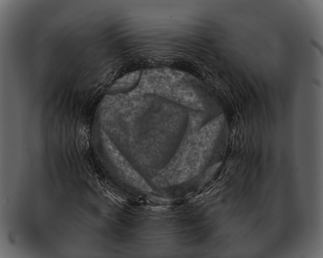 X0000093100772200710171200