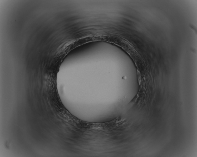 X0000093100773200710171200