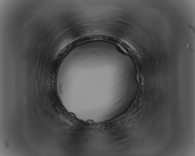 X0000093100775200710171200