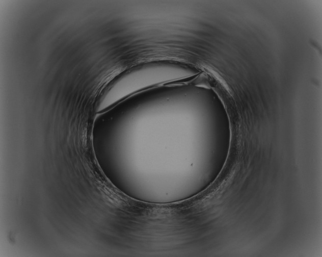 X0000093100777200710171200