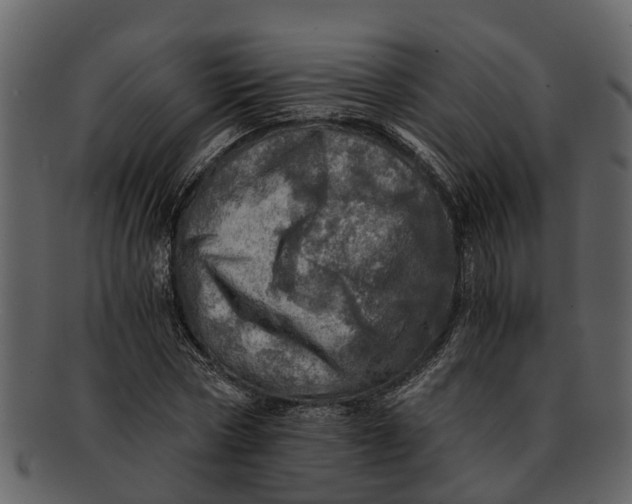X0000093100778200710171200