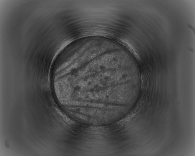 X0000093100780200710171200