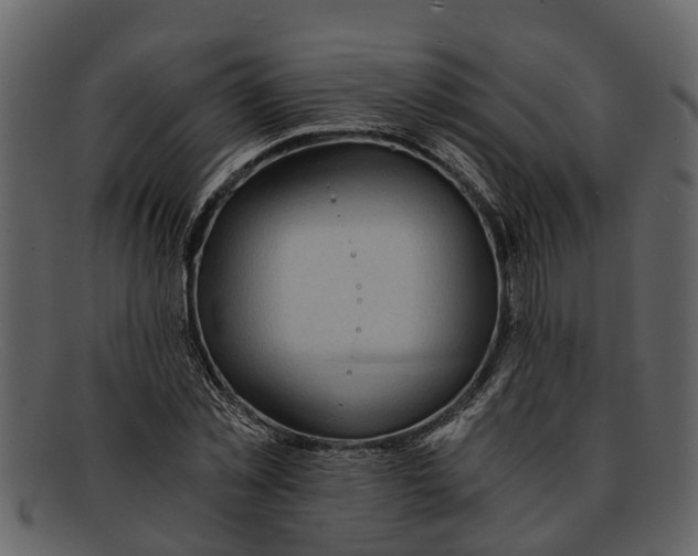 X0000093100781200710171200