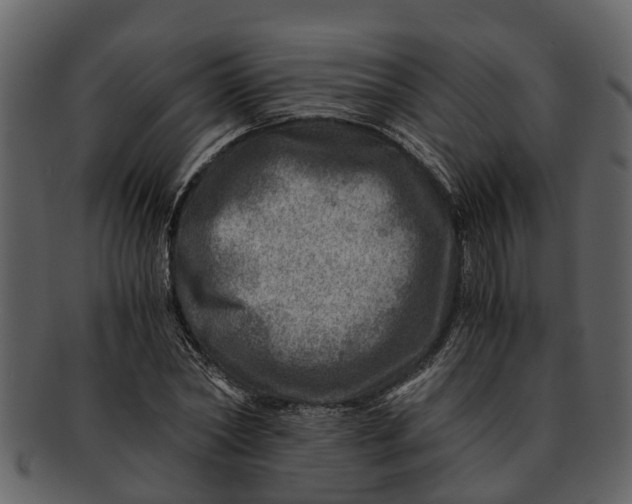 X0000093100782200710171200