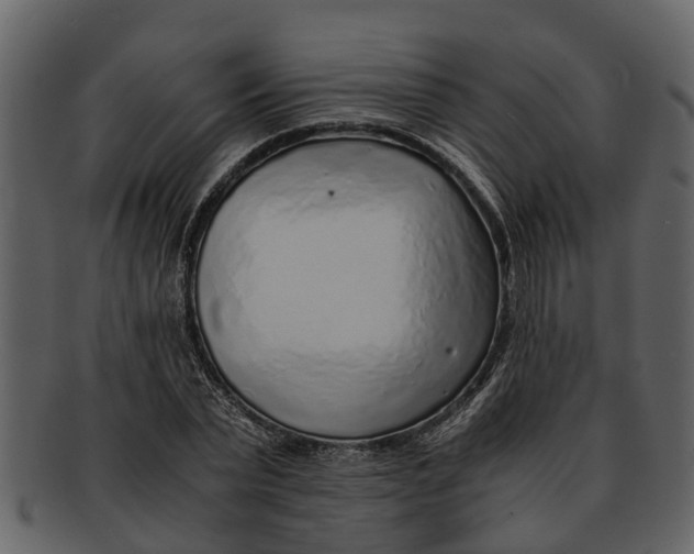 X0000093100783200710171200