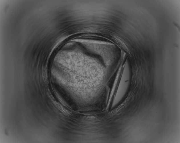X0000093100784200710171200