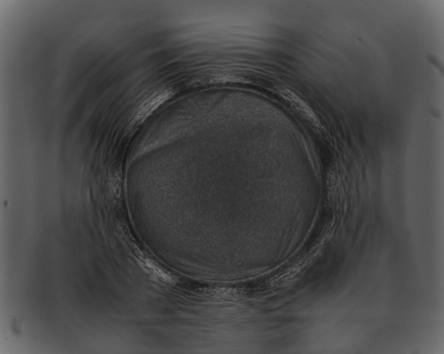 X0000093100785200710171200