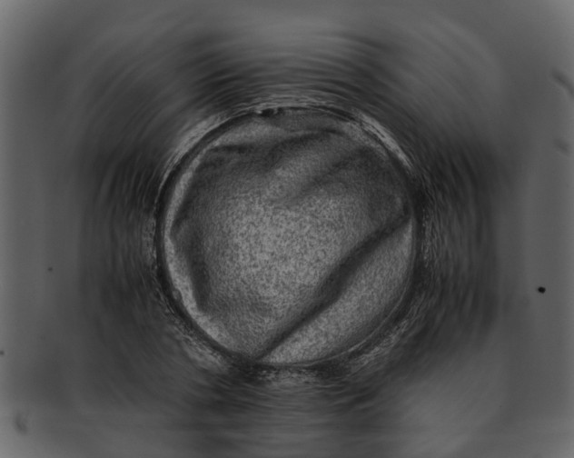 X0000093100786200710171200
