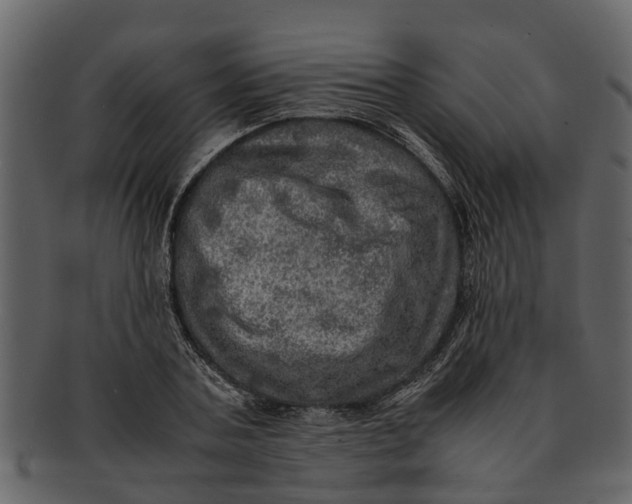 X0000093100787200710171200