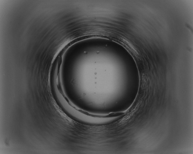 X0000093100788200710171200