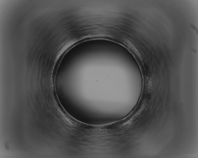 X0000093100789200710171200