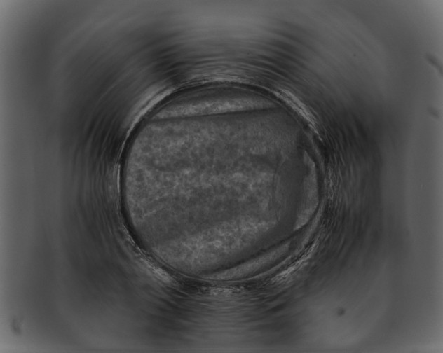 X0000093100790200710171200