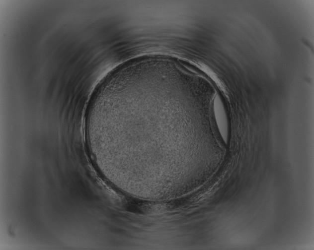 X0000093100791200710171200