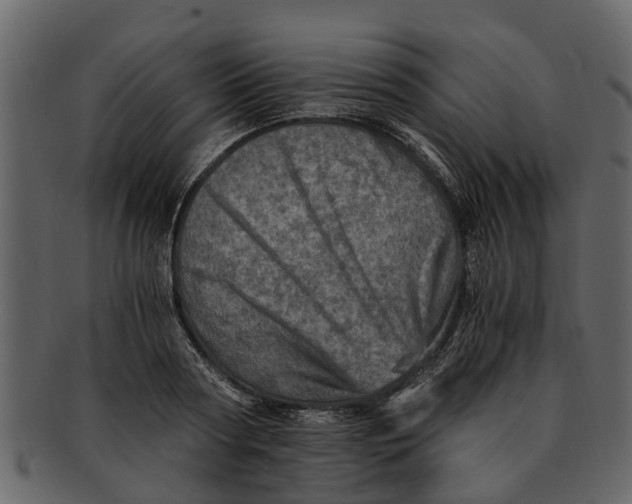 X0000093100794200710171200