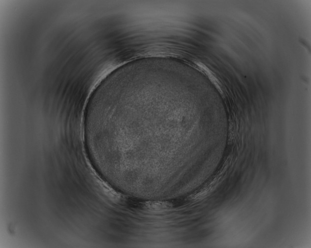 X0000093100795200710171200