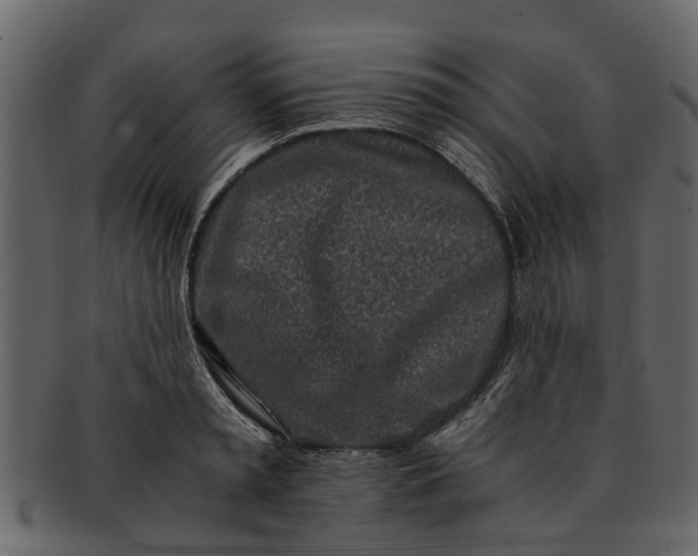 X0000093100797200710171159