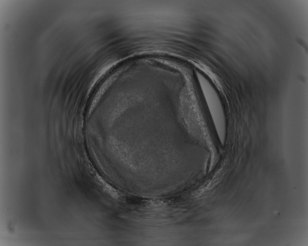 X0000093100799200710171159