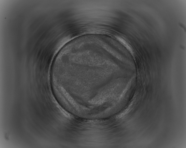 X0000093100803200710171159