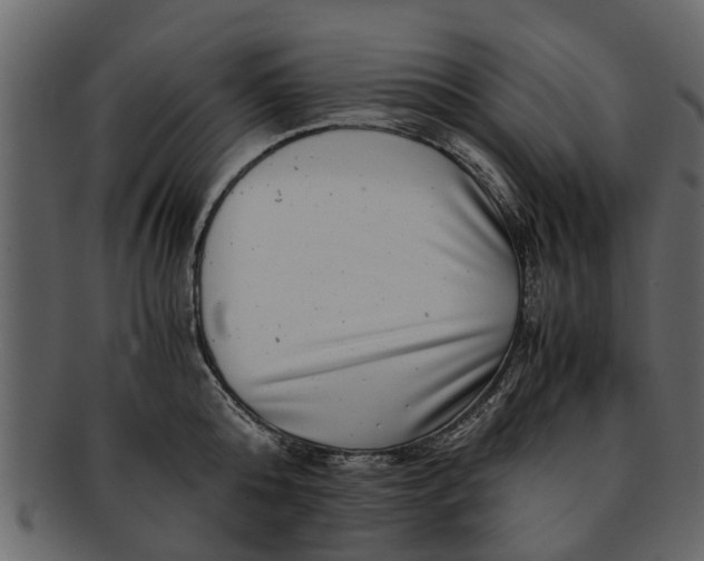 X0000093100808200710171159