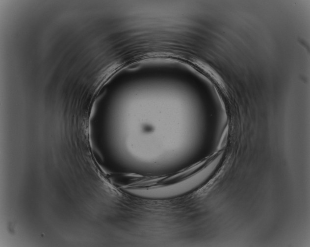 X0000093100809200710171159