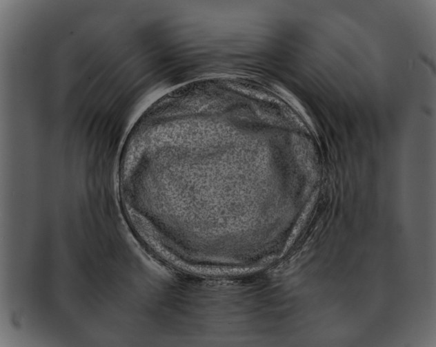 X0000093100811200710171159