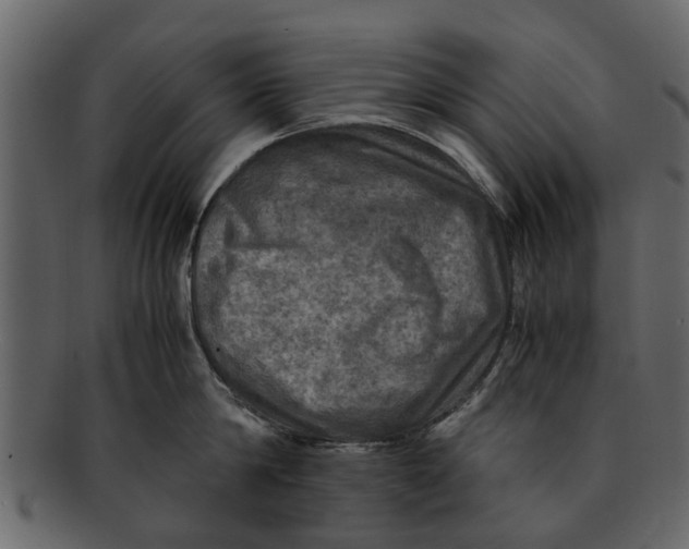 X0000093100814200710171159