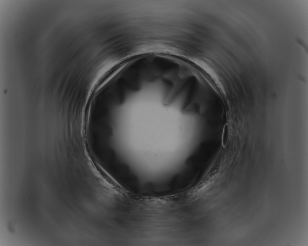 X0000093100815200710171159