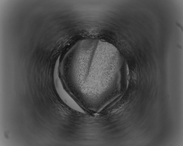 X0000093100818200710171158