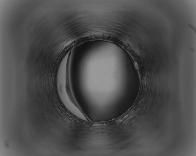 X0000093100822200710171158