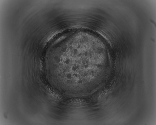 X0000093100823200710171158