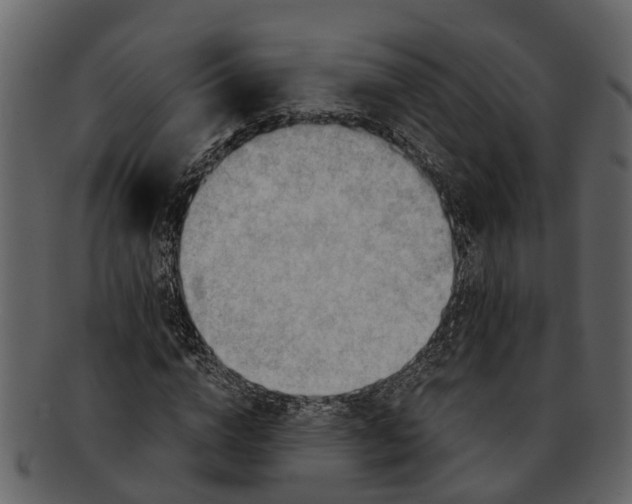X0000093100824200710171158