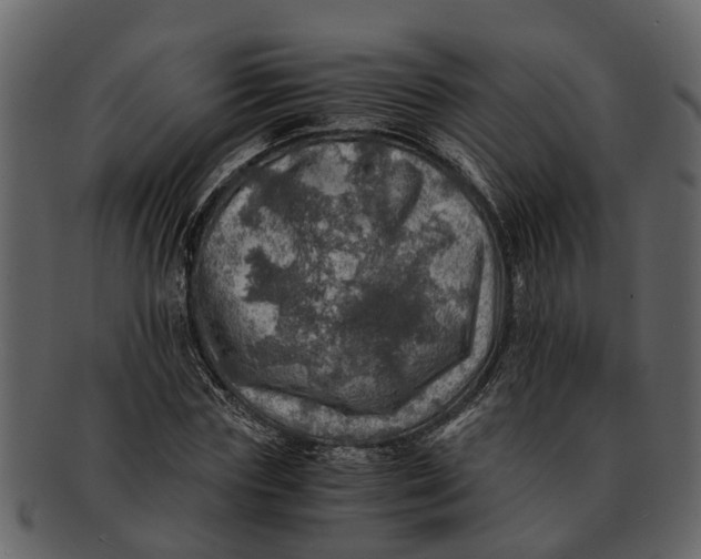 X0000093100827200710171159