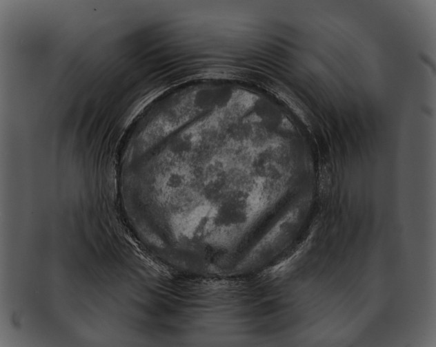 X0000093100829200710171159