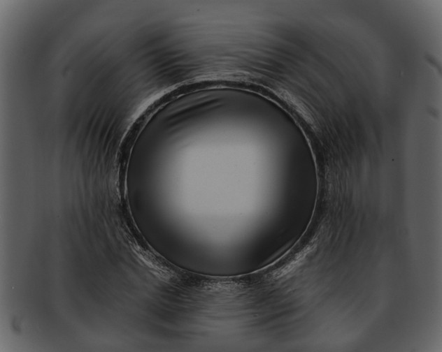X0000093100830200710171159
