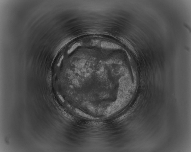 X0000093100831200710171159