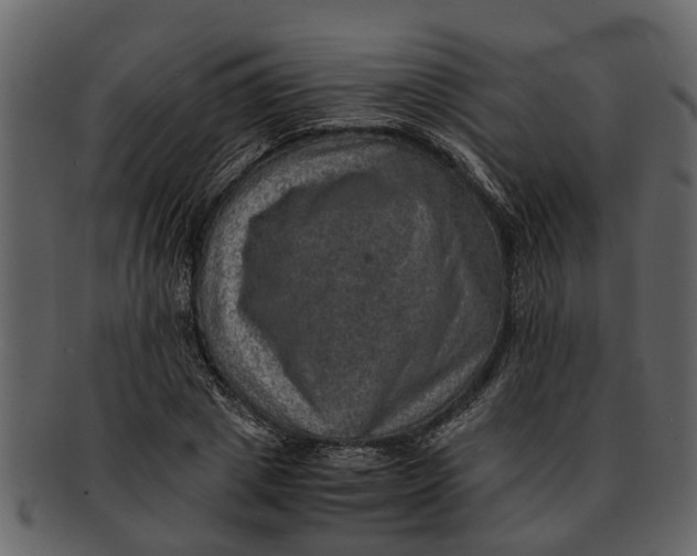 X0000093100833200710171159