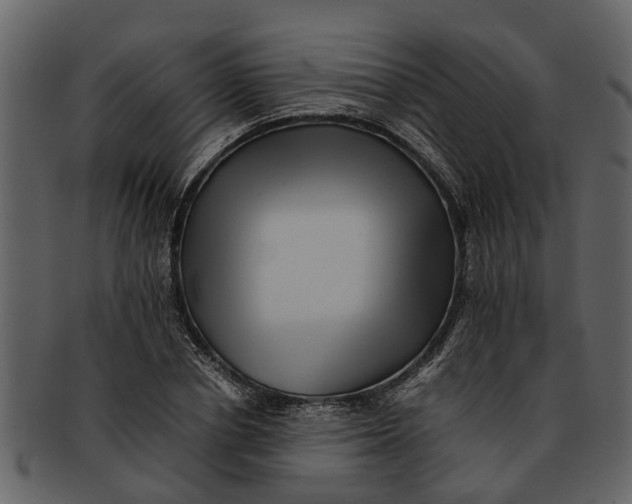 X0000093100834200710171159